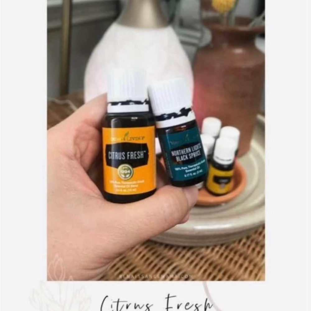 Young Living Citrus Fresh and Northern Lights Black Spruce Essential Oils